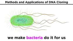 Biotechnology: Genetic Modification, Cloning, Stem Cells, and Beyond Instructional Video