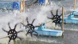 Surface aerator using to fill oxygen in the air to waste water Stock Footage