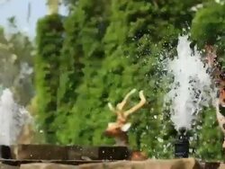 Fountain Stock Footage