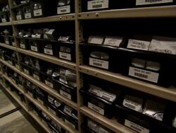 Tilt up on boxed plants. Stock Footage