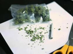 Marijuana Stock Footage