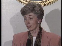 USA: US/MEXICO BORDER PATROLS INCREASED News Clip