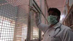 CLEAN : Hospital in Delhi gives birds new flight News Clip