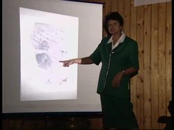 EGYPT: EXPERT ARCHAEOLOGISTS MEET TO DISCUSS ANCIENT EGYPTIAN LIFE News Clip