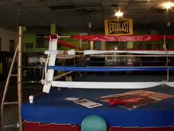 Atmosphere: Joe Frazier Gym Stock Footage