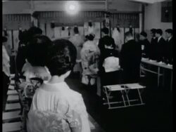Japanese weddings in department store Stock Footage