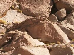 WS View of Rocky hillside to Viscacha, Lagidium viscacia in high Andes mountains / San Pedro de Atacama, Norte Grande, Chile Stock Footage