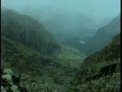 WA fog hovering over mountainous, jungle covered valley, Uganda, Africa Stock Footage