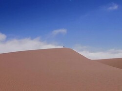 two humans on a dune - Menschen_auf_Duene2 Stock Footage