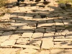Low section view of three kids walking, Ballabhgarh, Haryana, India Stock Footage