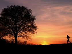 HD: Woman Jogging At Sunset Stock Footage
