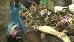 VOICED : Medio dolar por trabajar en el vertedero de Maputo News Clip