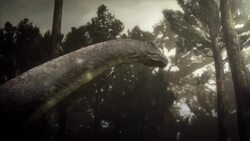 A Sauroposeidon walks through a sunlit jungle. Stock Footage