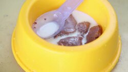 Pet Food Stock Footage