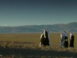 TS LS Arabic males walking in desert / Morocco Stock Footage