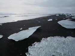 MS Many melting glaciers on black sand beach / Iceland Stock Footage