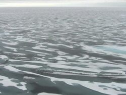Arctic and North West Passage Ice Floe News Clip
