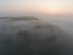 Foggy Scene in Country Stock Footage