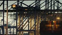 Shipping Containers Arriving in Los Angeles Stock Footage