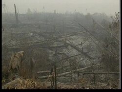 INDONESIA: WIND SHIFT TAKES CHOKING HAZE HARMLESSLY OVER JAVA SEA News Clip