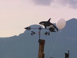 "CU of killer whale weather vane, small white balloon floating around in front, Metlakatla, Annette Island, Alexander Archipelago, Alaska" Stock Footage