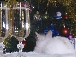 rabbit and a Christmas tree Stock Footage