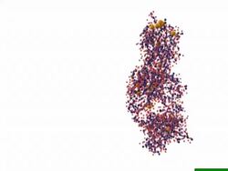 Factor XIII molecule Stock Footage