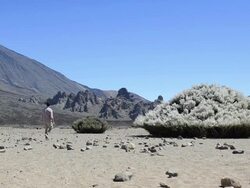 Man walking on the mountain desert - El Teide Stock Footage