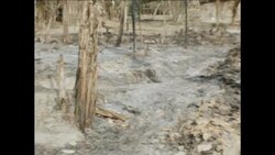 SYND 16 3 1983 ASSAM MASSACRE SURVIVORS Instructional Video