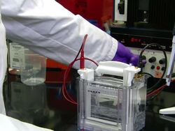 Gas chromatography-mass spectrometry (GCMS), University of Washington, Seattle, USA Stock Footage