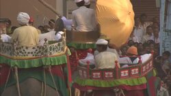 Festival celebrants ride on costumed elephants during Diwali in India. Stock Footage
