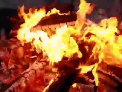 CU SLO MO Shot of bonfire / Venice, California, United States Stock Footage