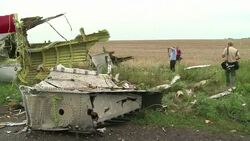 CLEAN : OSCE monitors reach Malaysia Airlines crash site in Ukraine News Clip