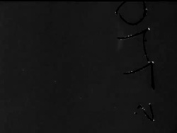 MEDITERRANEAN MISCELLANY - News Clip