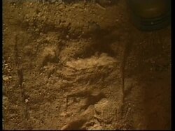 CUBA: FOSSILISED HUMAN REMAINS FOUND IN CAVE News Clip