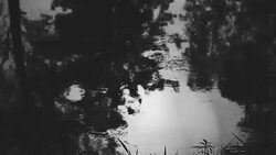 water with reflection flowing dawn Stock Footage