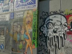 Berlin Wall, Grafitti, Murals, PAN Stock Footage