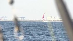 Sailboat On The Horizon Stock Footage