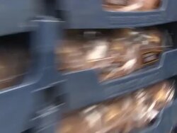 Ted Allen Launches the 'Bread Art Project' - A Hunger Relief Effort Stock Footage