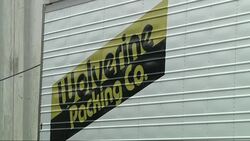 Wolverine Packing Co. in Detroit, Michigan is recalling about 1.8 million pounds of ground beef products sold for restaurant use in four states that may be contaminated with E. Coli. (May 20) News Clip