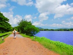 Traveller walk near pond Stock Footage