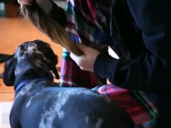 goofy hair girl Stock Footage