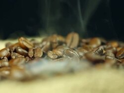 Fresh coffee beans Stock Footage