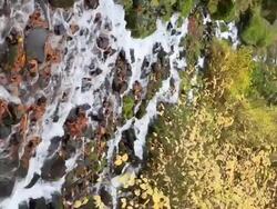 HD autumn stream vertical video Stock Footage