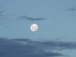 Timelapse of moon rising through clouds Stock Footage