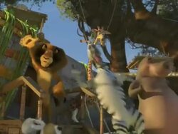 NEWS CAPSULE: UK Premiere Madagascar 2 Escape 2 Africa, London, UK, 11/23/08 Stock Footage