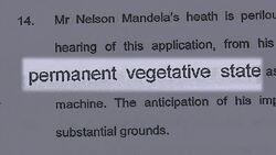 VOICED : Festejo militar en plaza Tahrir News Clip