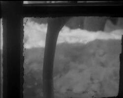 THE TALE OF A SWAN News Clip