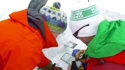 Schneeprofil, Snow profiles, Lawinenexperten, Wissenschaftler Stock Footage