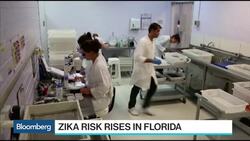 Kotok: Congress Rejected American People on Zika News Clip
